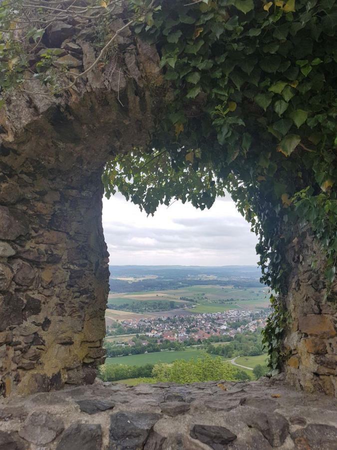 Ferienwohnung Hegau-Bodensee Muhlhausen-Ehingen Dış mekan fotoğraf